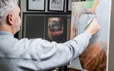 Work in Progress of an Orangutan