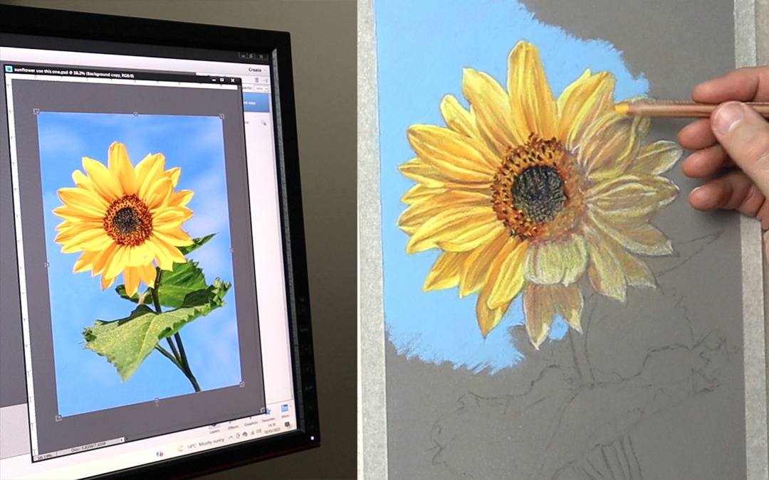 Painting a Sunflower in Pastels… Part 1