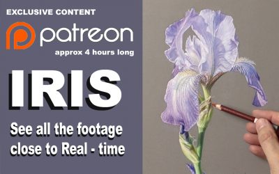 Patreon Art Tutorials… exclusive content