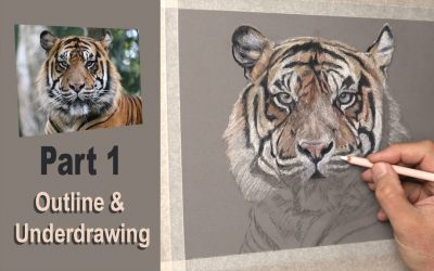 YouTube Free Art Tutorial ~ Tiger Part 1