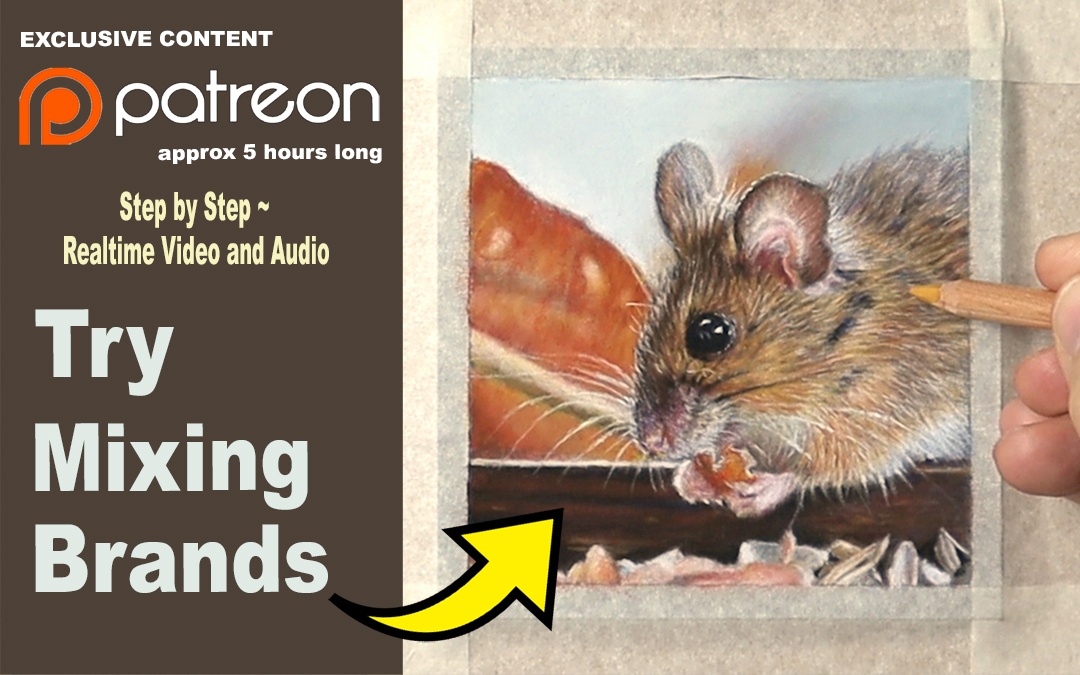 How to Draw a mouse in pastels … Patreon Tutorials