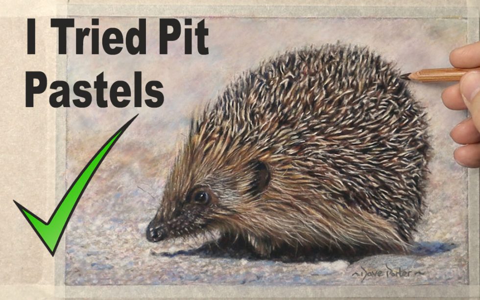 Free Pastel Pencil tutorial… Using only Faber Castell Pencils. Dave Porter’s Art