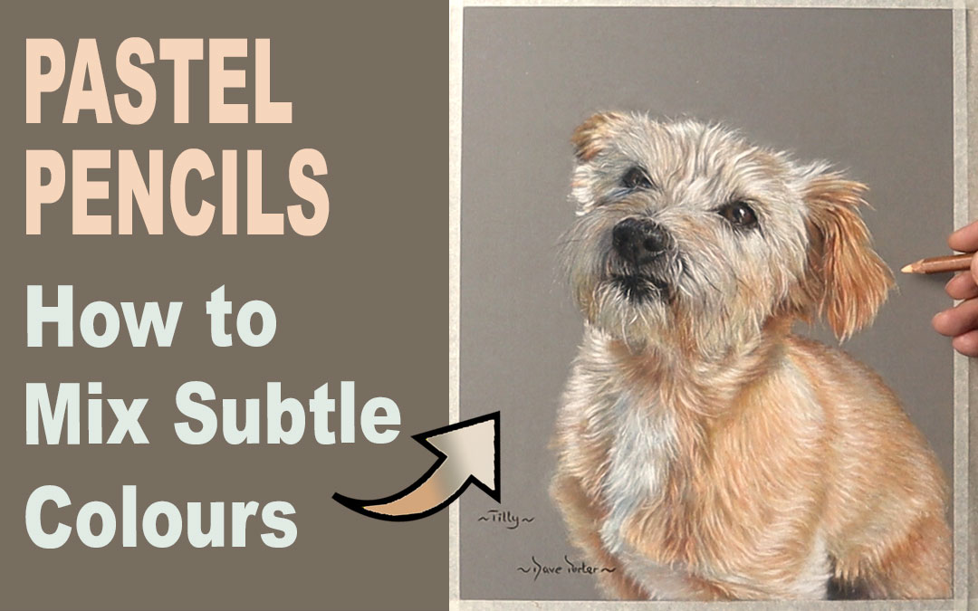 Pet Portrait in Pastels… Free Art Tutorial.