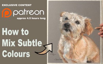 Pet Portrait in Pastels… Patreon Tutorials