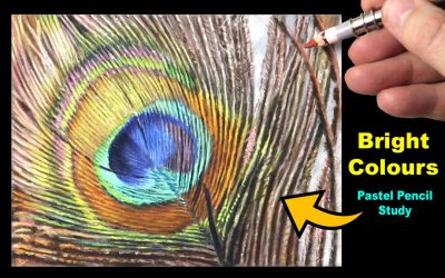 How to draw a Peacock feather in Pastels… Free Art Tutorial.