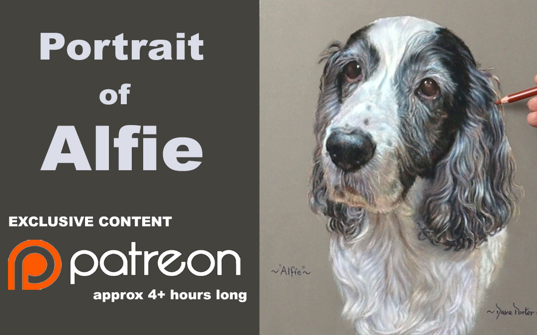 Pet Portrait in Pastels… Patreon Tutorials