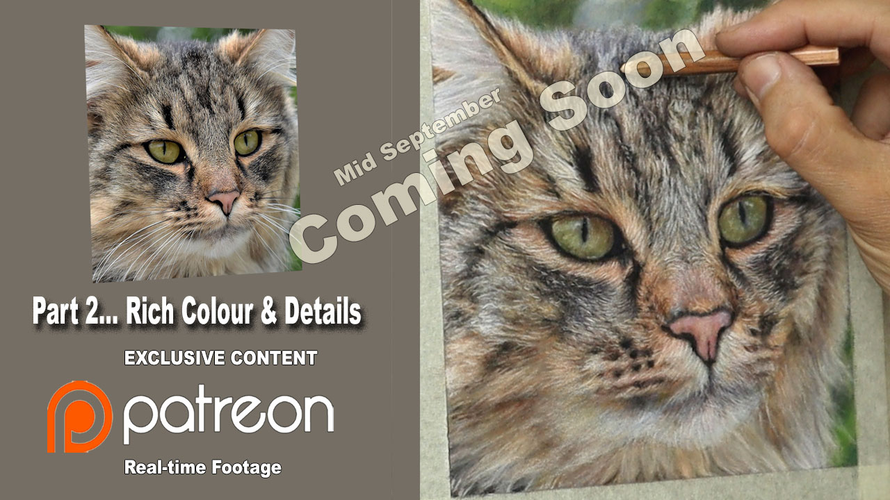 Patreon-cat-study-thumb2-comimg-soon